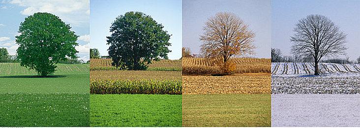 《R-Type 战略 I • II 宇宙》推迟至2024年发行